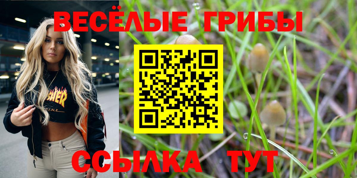 Псилоцибиновые грибы ЛСД Губаха